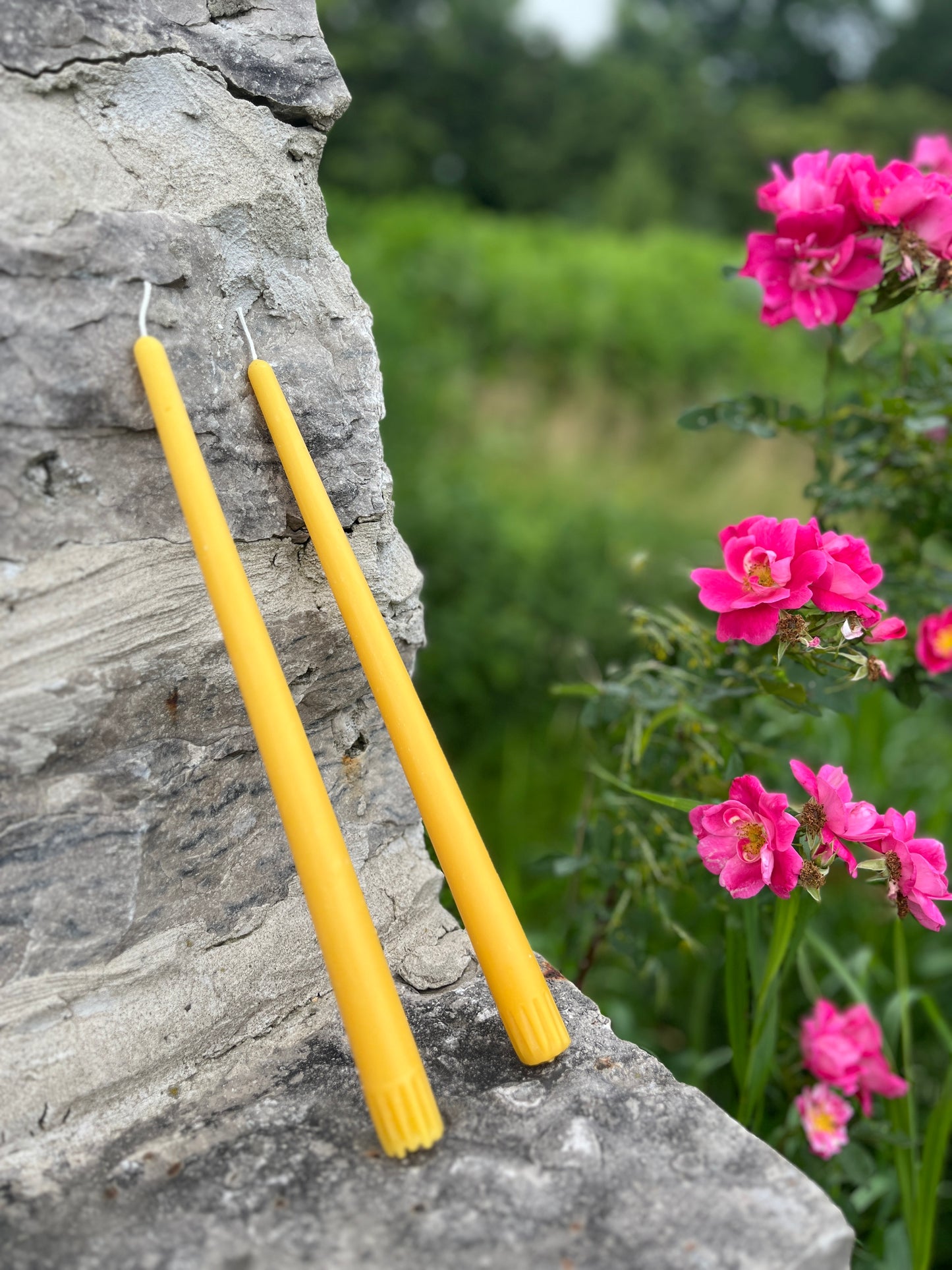 Handmade 12" Beeswax Candle Tapers Quantity 6