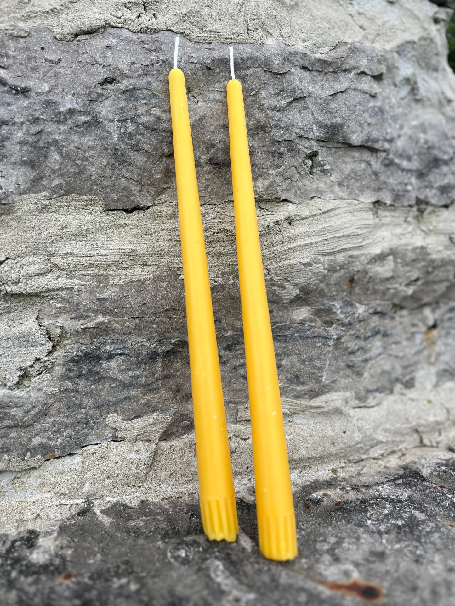 Handmade 12" Beeswax Candle Tapers Quantity 6