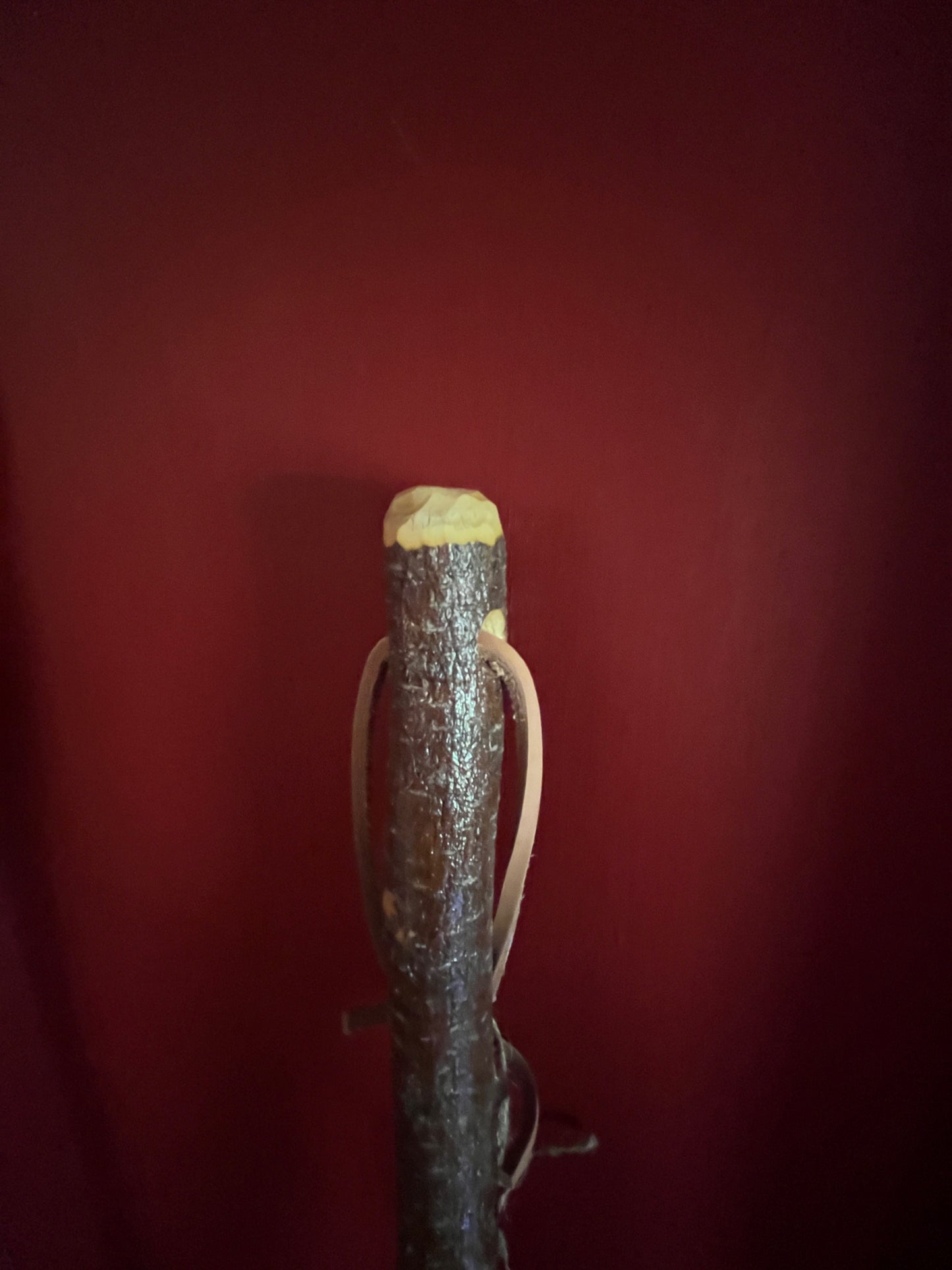 Handmade broomcorn broom on a tree branch broomstick